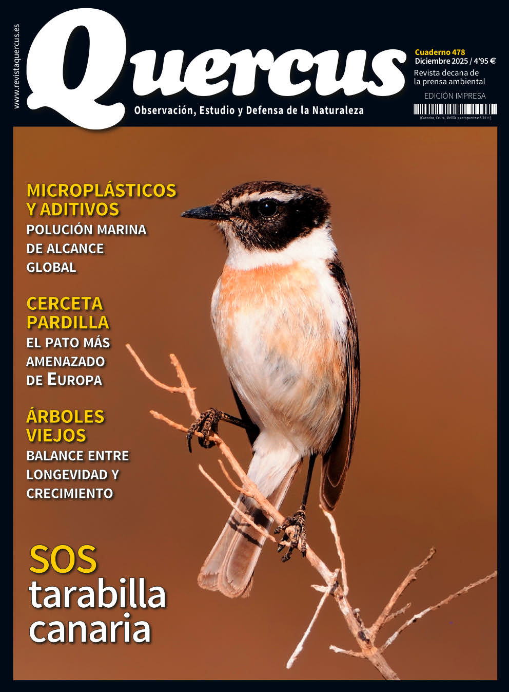 Click para ampliar Quercus 478