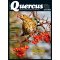 Quercus 481