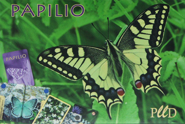 Papilio