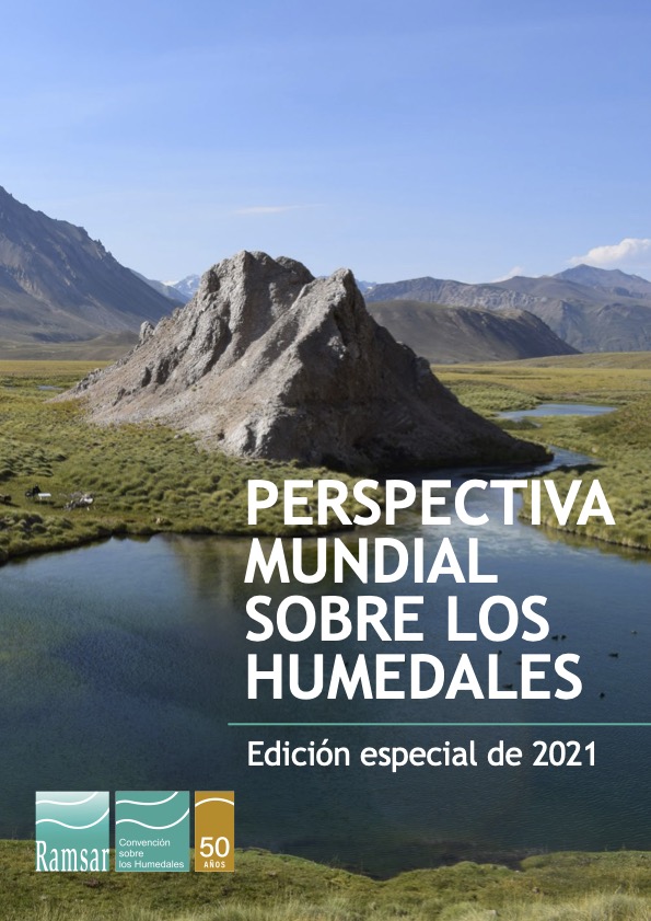 Perspectiva mundial sobre los humedales