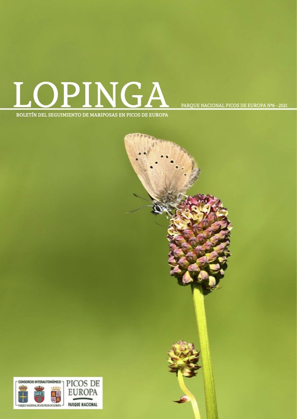 Lopinga