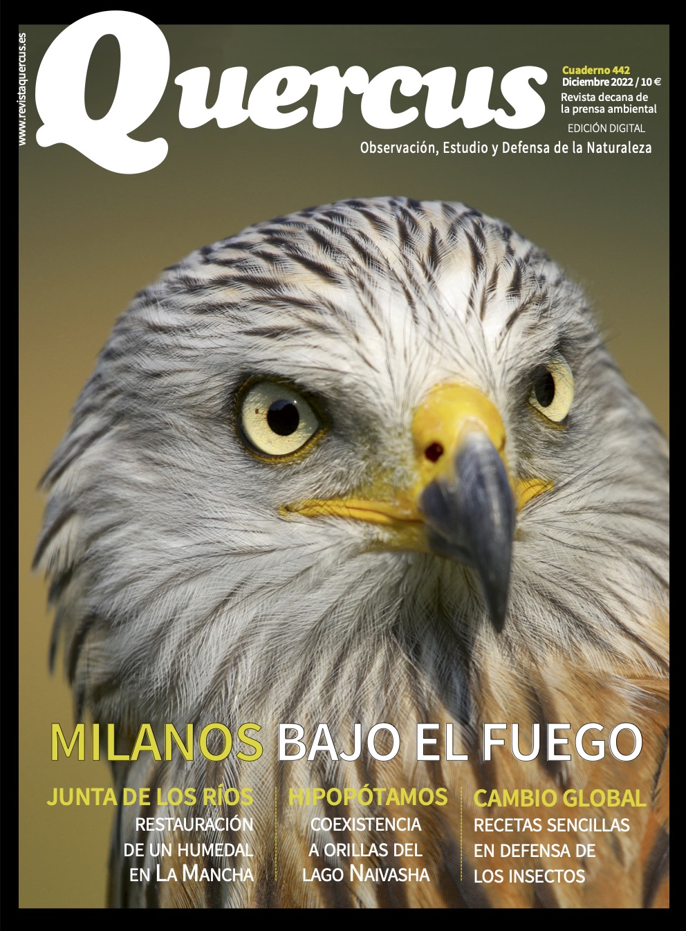 Click para ampliar Q442D