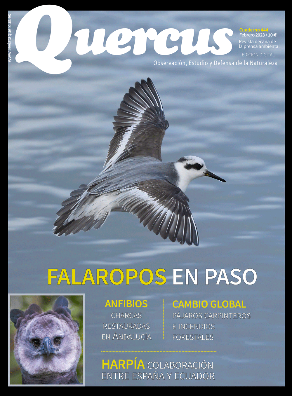 Click para ampliar Q444