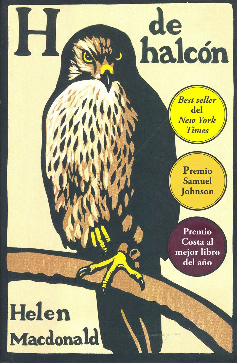 H de halcón