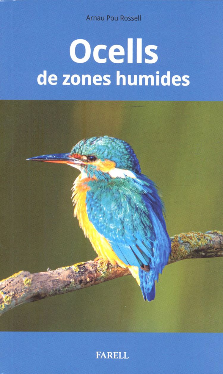 Ocells de zones humides