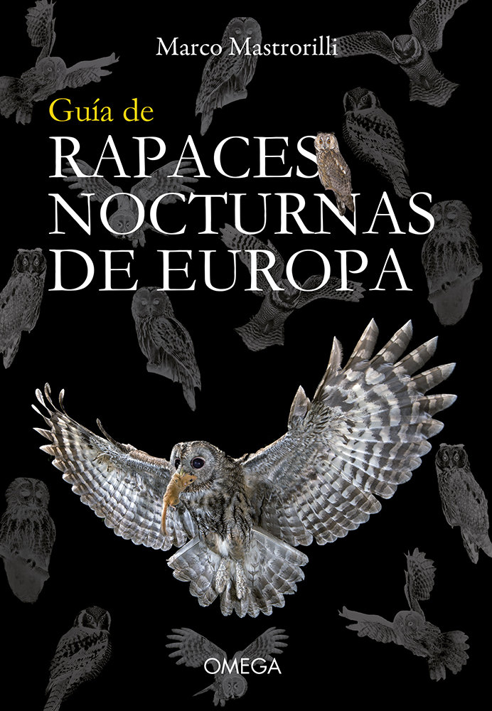 Click para ampliar Guía de rapaces nocturnas de Europa