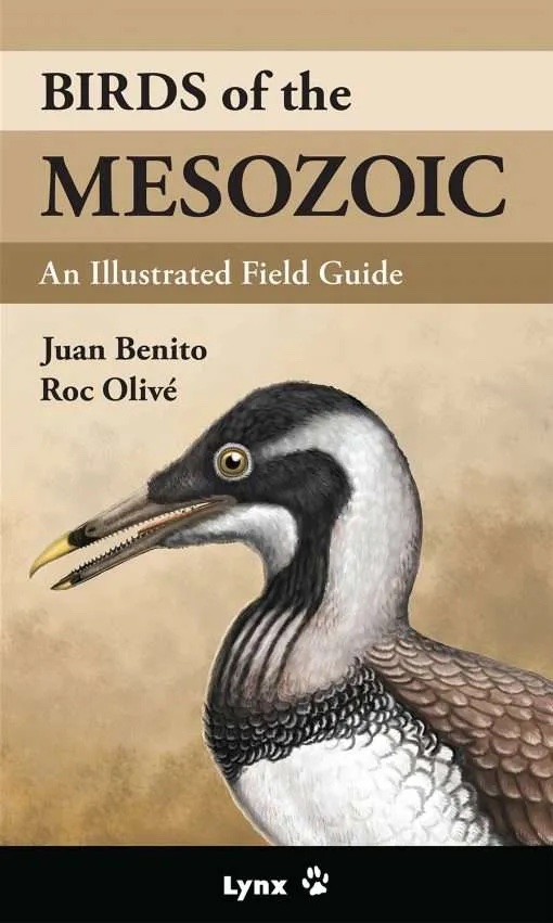 Click para ampliar Birds of the Mesozoic