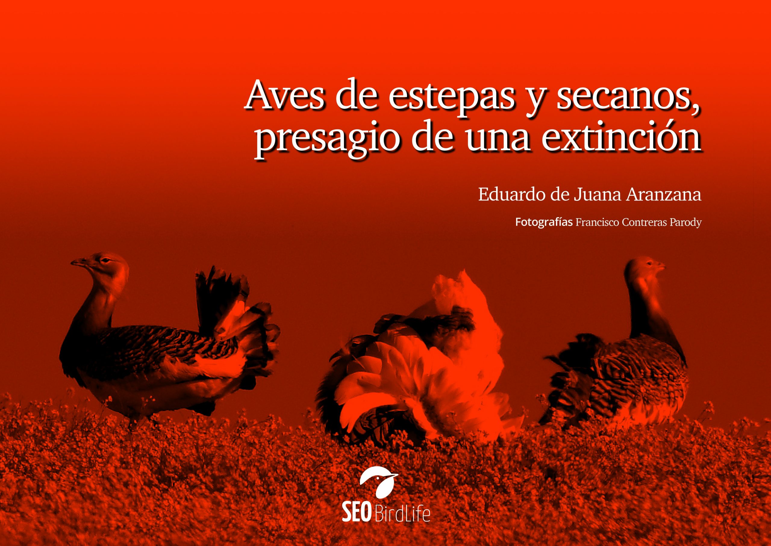 Aves de estepas y secanos, presagio de una extinción