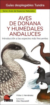 Aves de Doñana y humedales andaluces