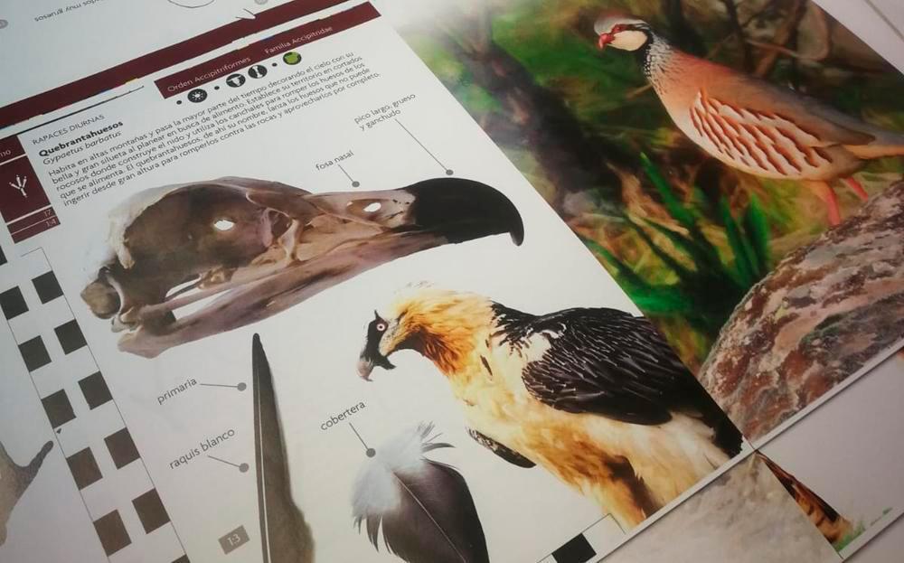 Aves que dejan huella