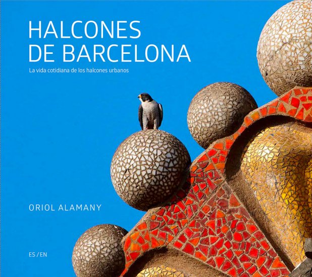 Halcones de Barcelona