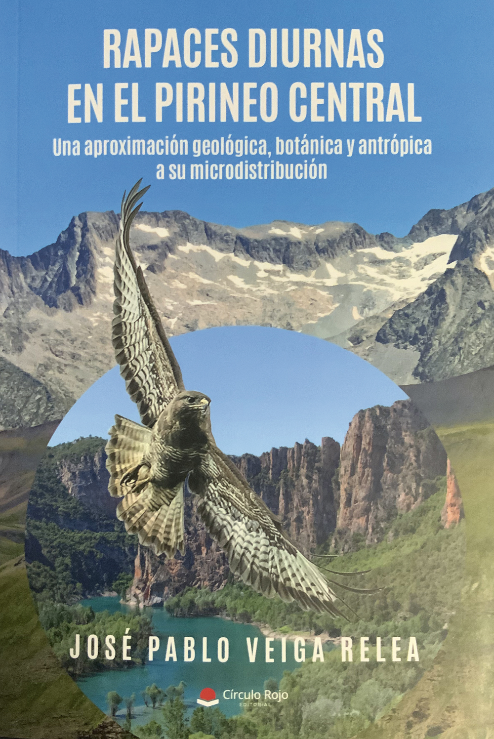 Rapaces diurnas en el Pirineo central