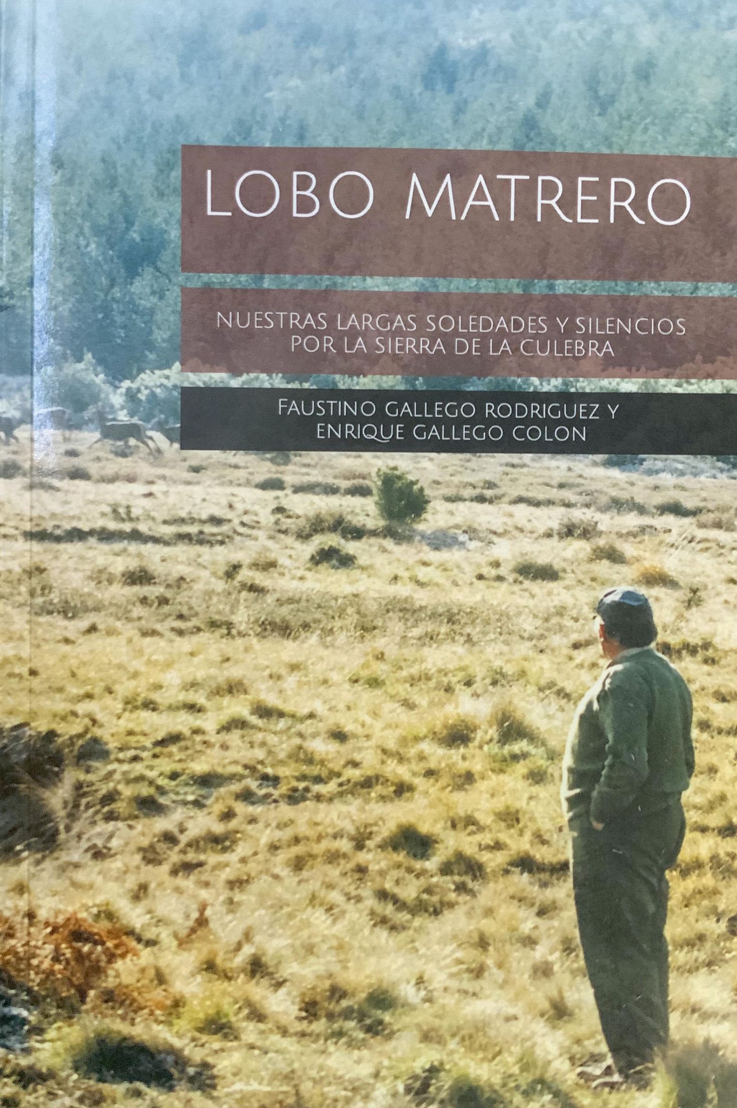 Lobo matrero