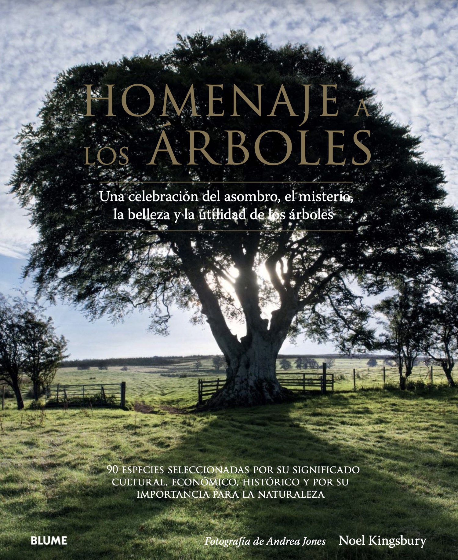 Homenaje a los árboles 