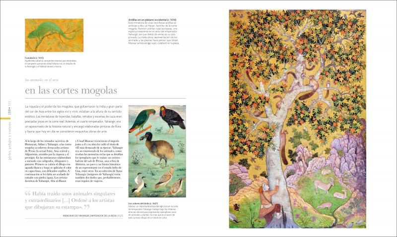 Click para ampliar Muestra 2