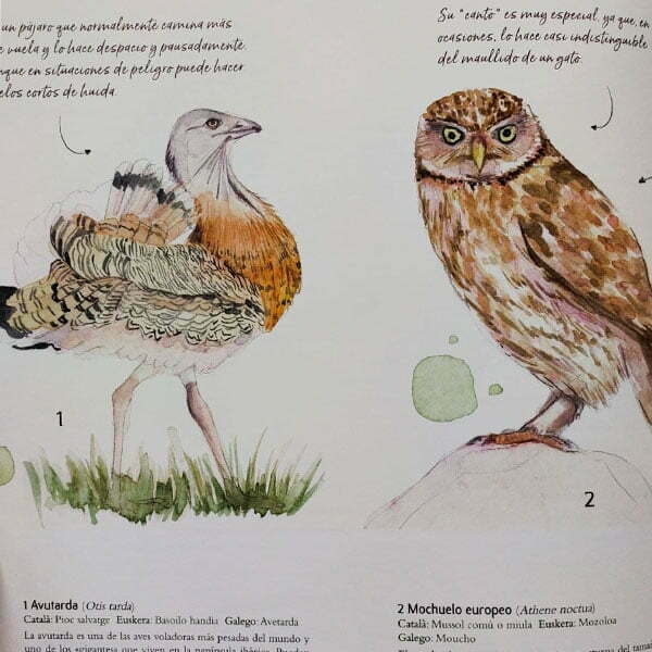 El gran libro de la fauna española