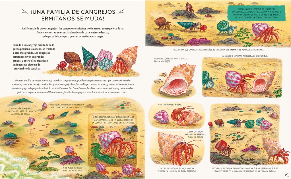 Click para ampliar 2