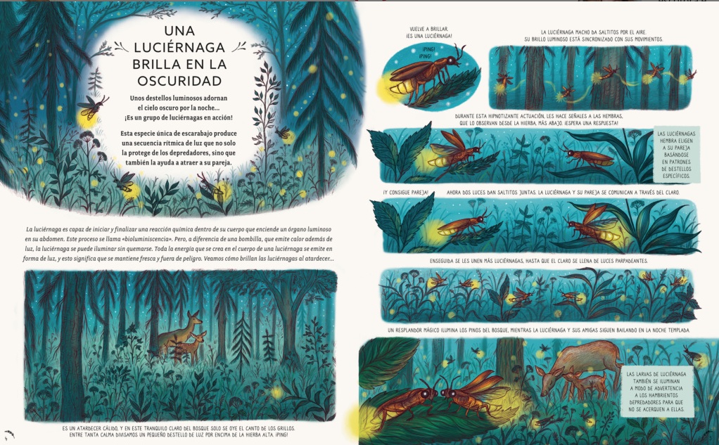 Click para ampliar 1