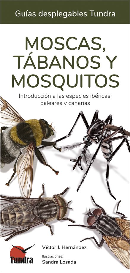 Moscas, tábanos y mosquitos