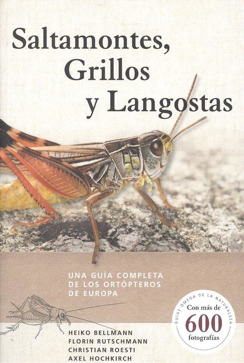 Saltamontes, grillos  y langostas