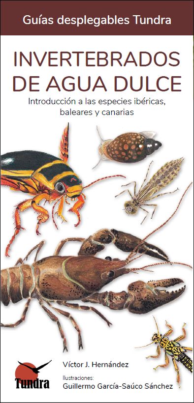 Invertebrados de agua dulce