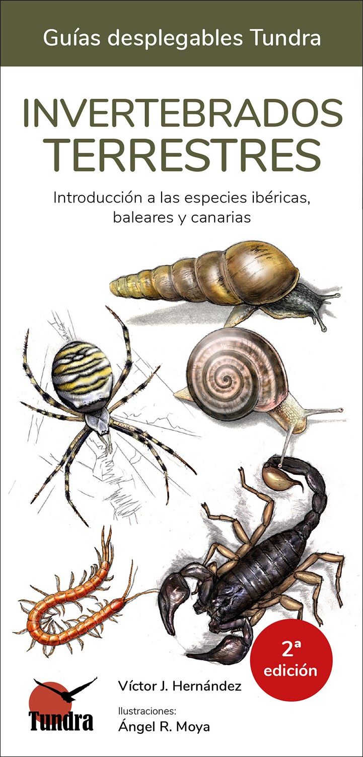 Invertebrados terrestres. Introducción a las especies ibéricas, baleares y canarias