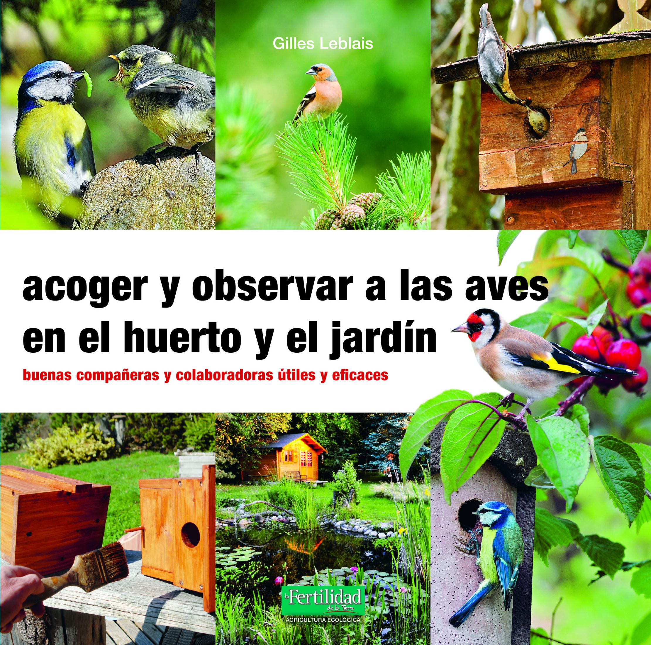 Acoger y observar a las aves en el huerto y jardin