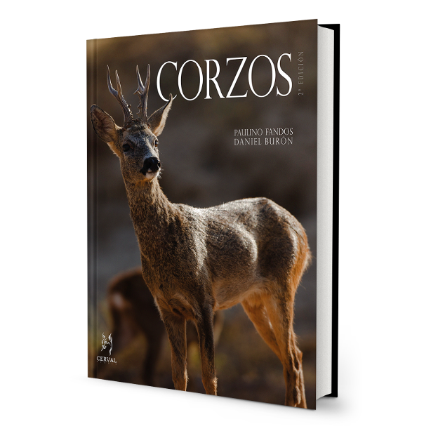 Click para ampliar Corzos