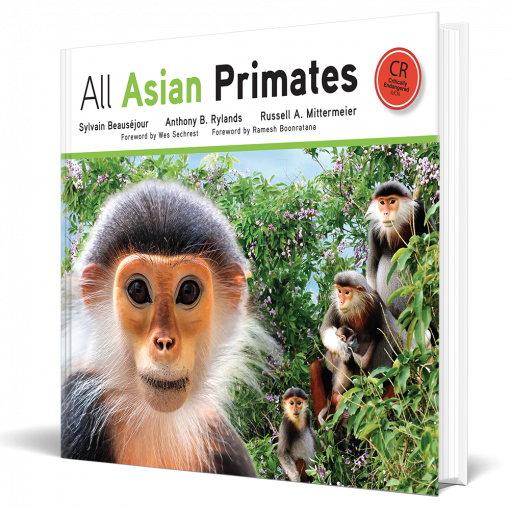 Click para ampliar All asian primates