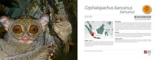 Click para ampliar All Asian Primates