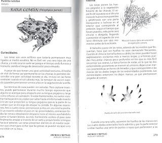 HUELLAS Y SEÑALES DE LOS ANIMALES EN LA PENÍNSULA IBÉRICA Y RESTO DE EUROPA
