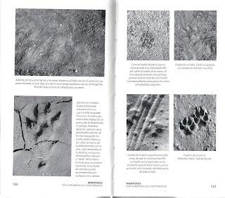 HUELLAS Y SEÑALES DE LOS ANIMALES EN LA PENÍNSULA IBÉRICA Y RESTO DE EUROPA