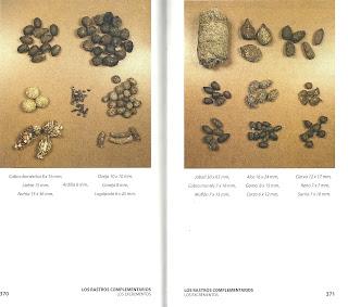 HUELLAS Y SEÑALES DE LOS ANIMALES EN LA PENÍNSULA IBÉRICA Y RESTO DE EUROPA