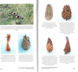 HUELLAS Y SEÑALES DE LOS ANIMALES EN LA PENÍNSULA IBÉRICA Y RESTO DE EUROPA