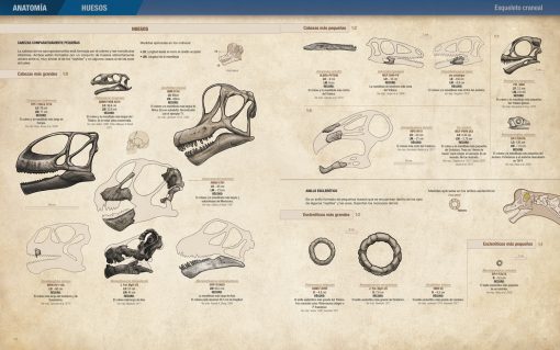 Click para ampliar Récords