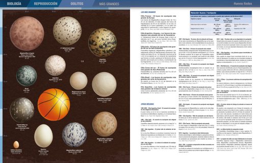 Click para ampliar Récords