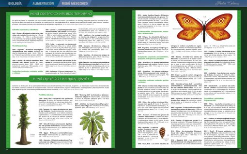 Click para ampliar Récords