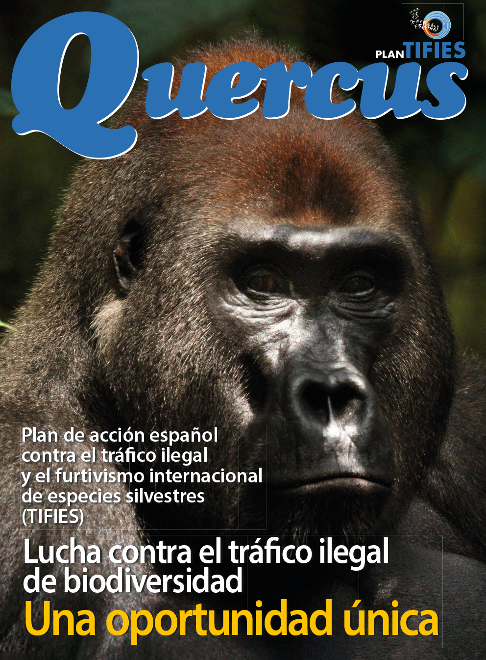 Click para ampliar Quercus431