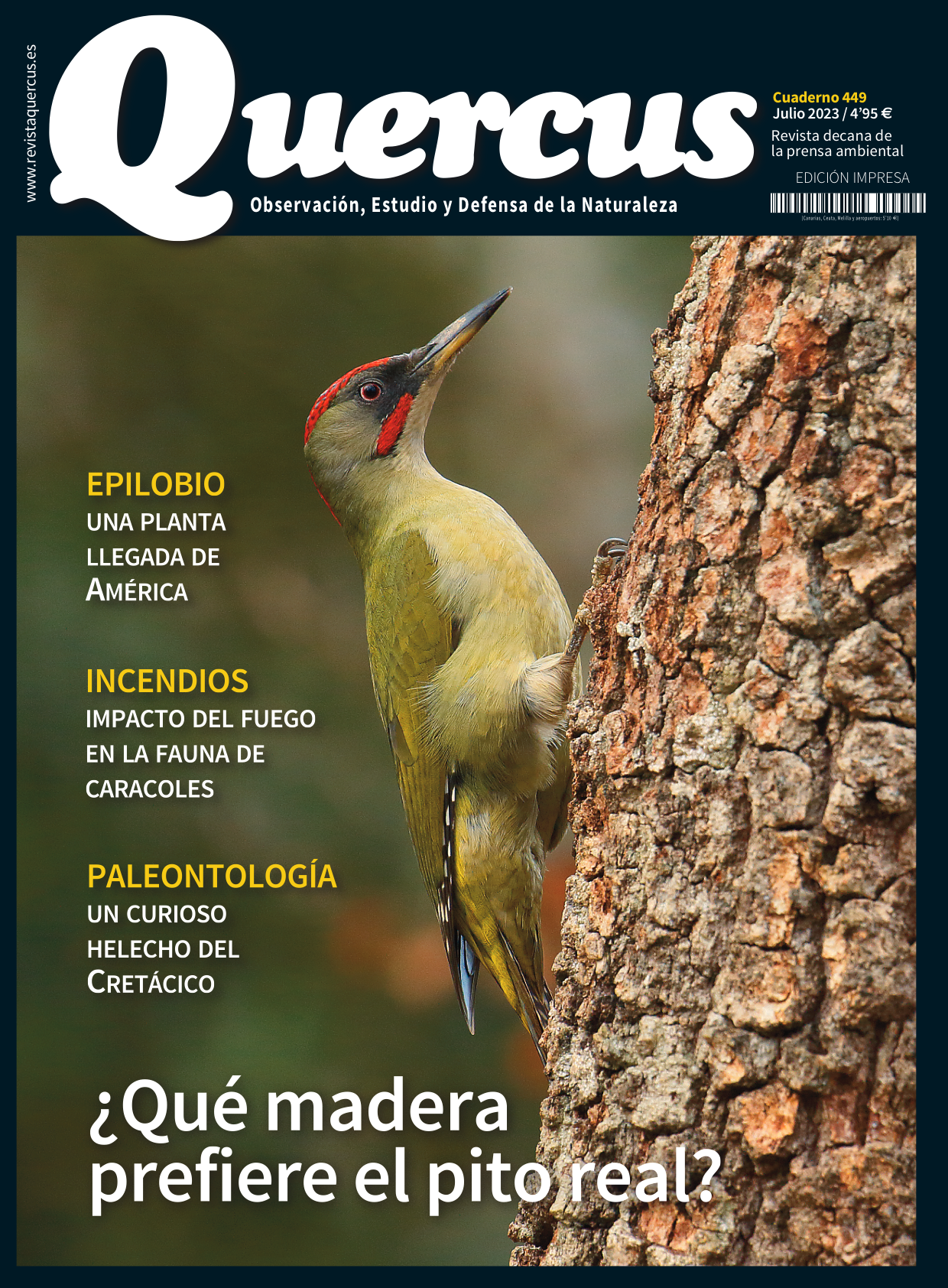 Click para ampliar Quercus 449
