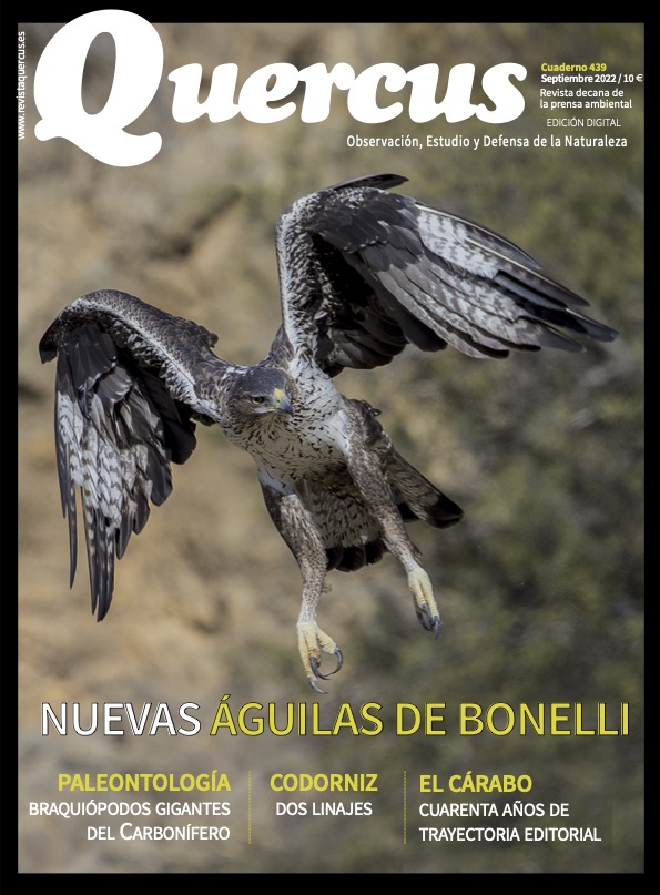 Click para ampliar Q439