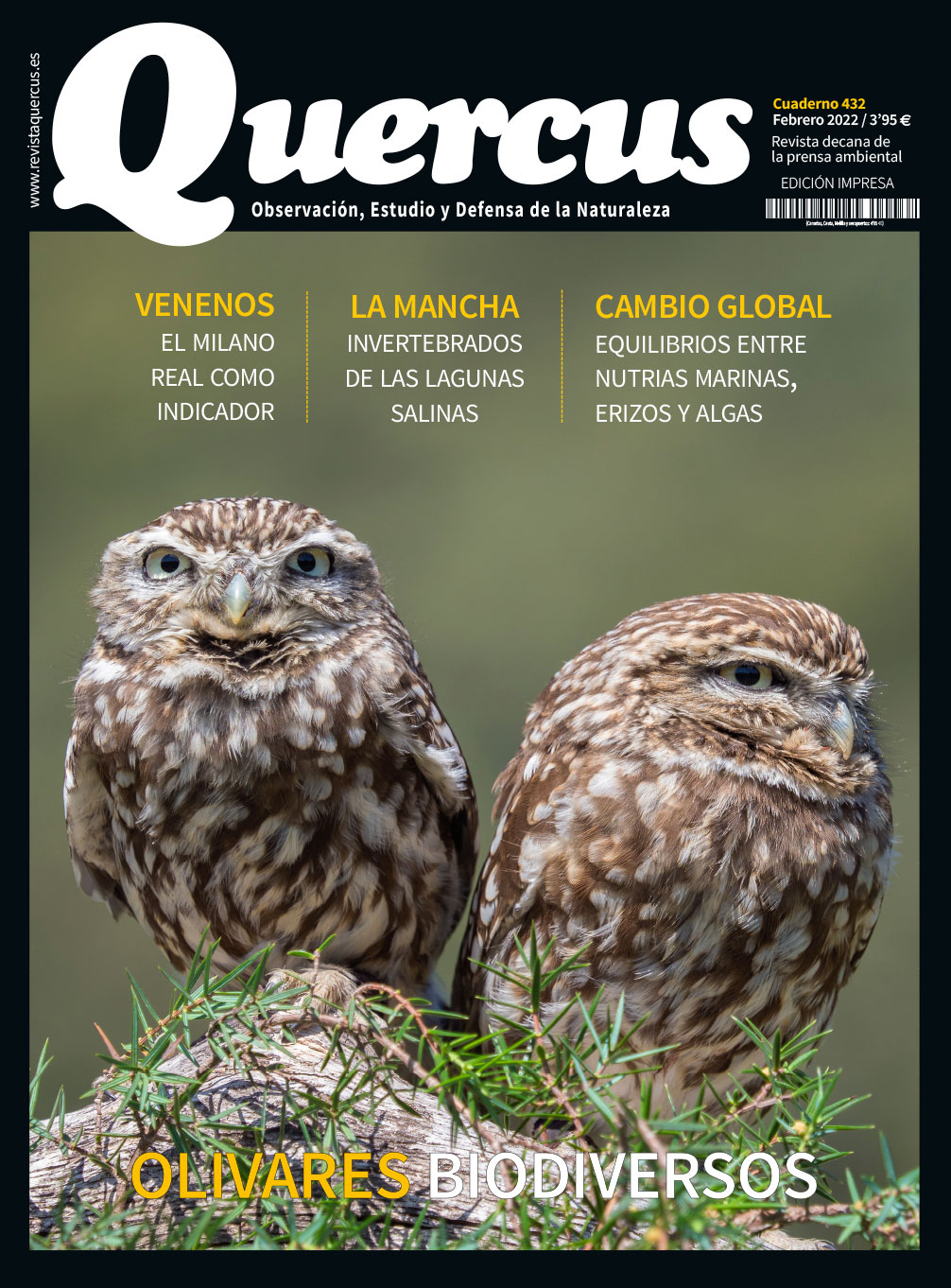 Click para ampliar Quercus 432