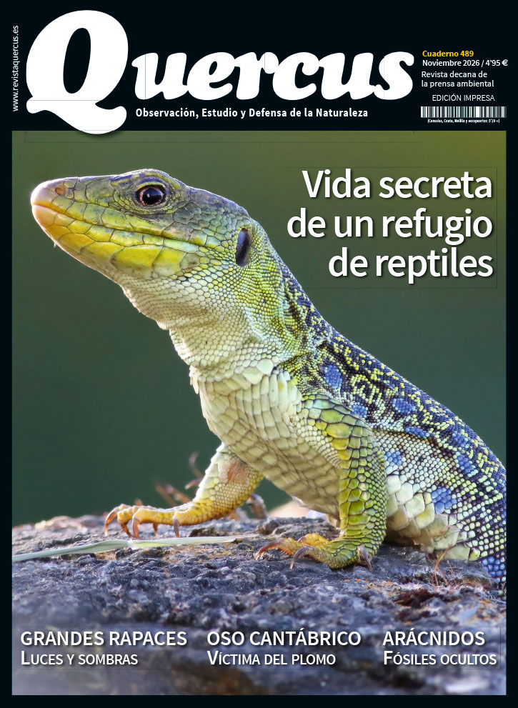 Quercus 489