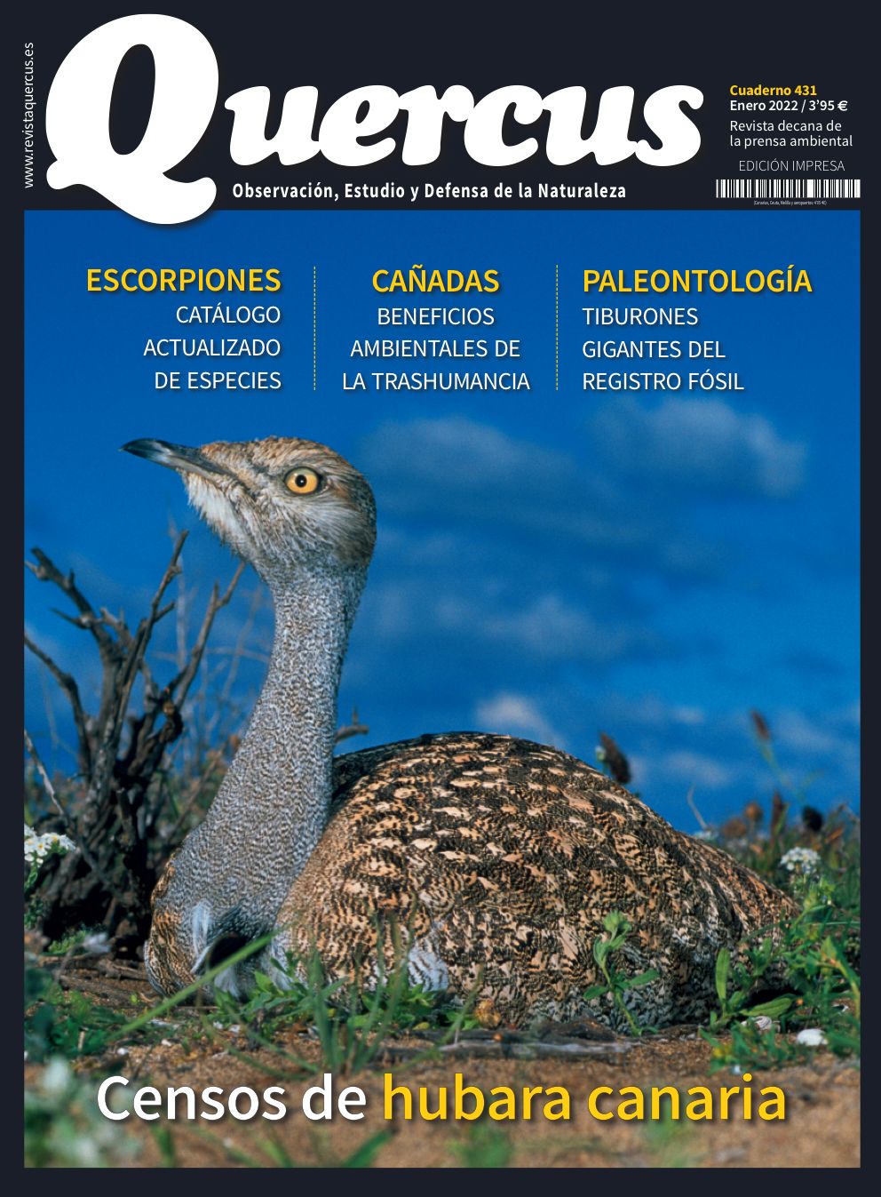 Click para ampliar Quercus 431