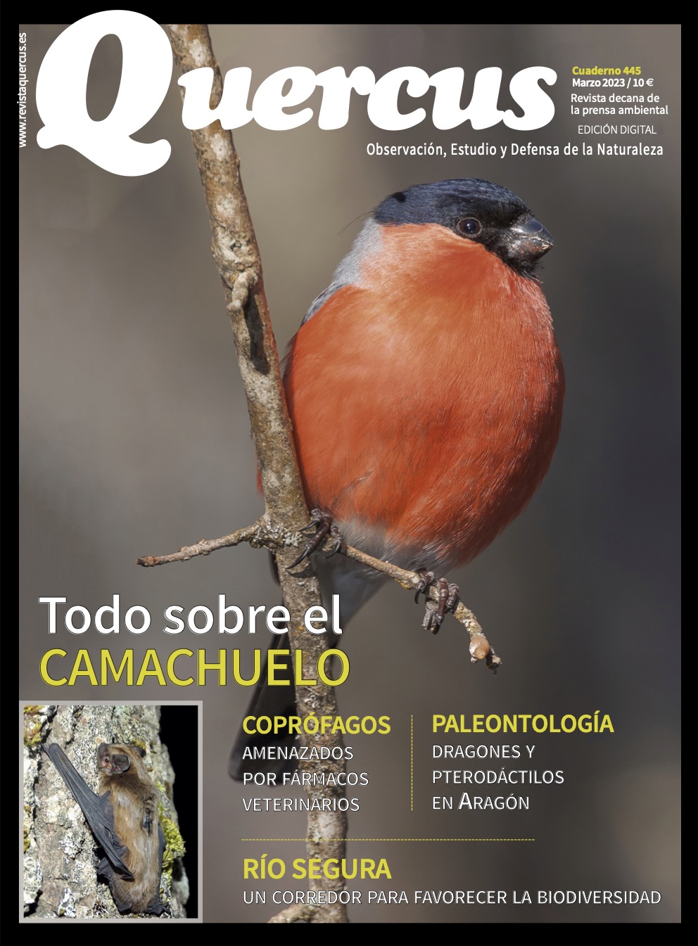 Click para ampliar Q445D