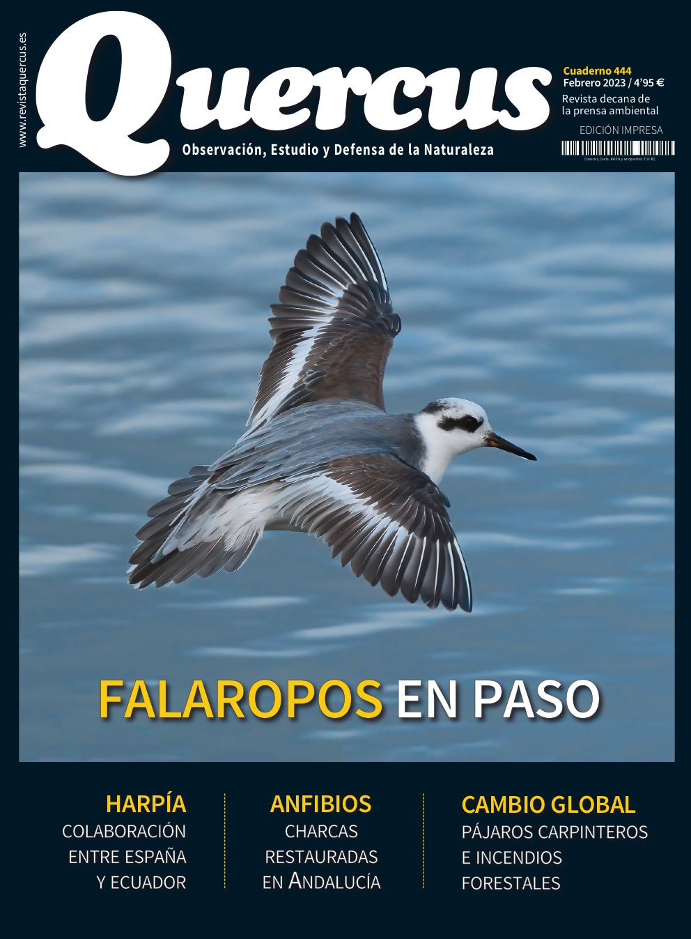 Click para ampliar Quercus 444