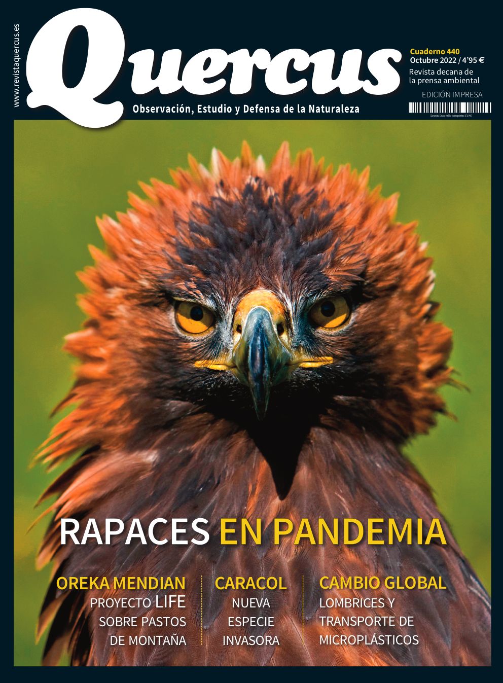 Click para ampliar Quercus 440