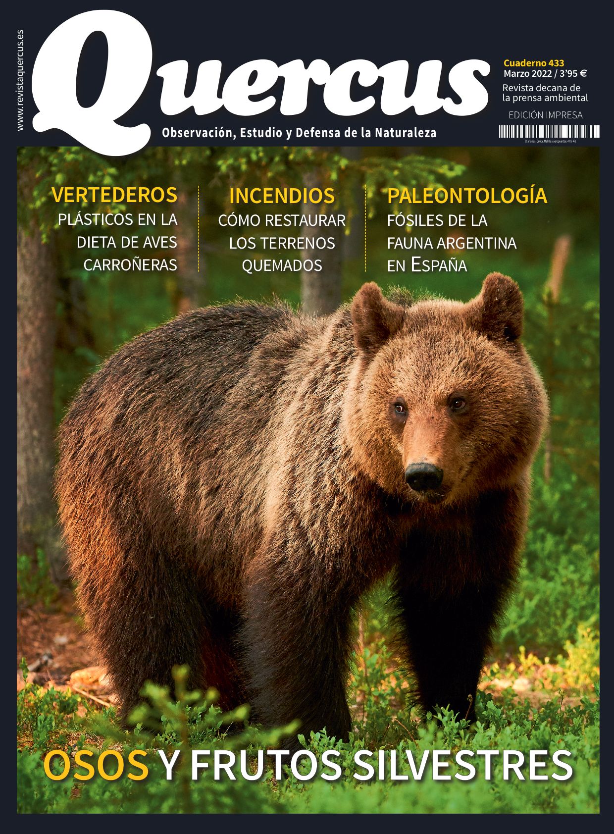 Click para ampliar Quercus 433