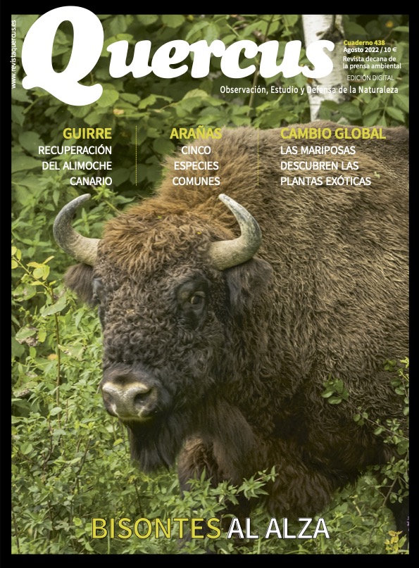 Click para ampliar Q438