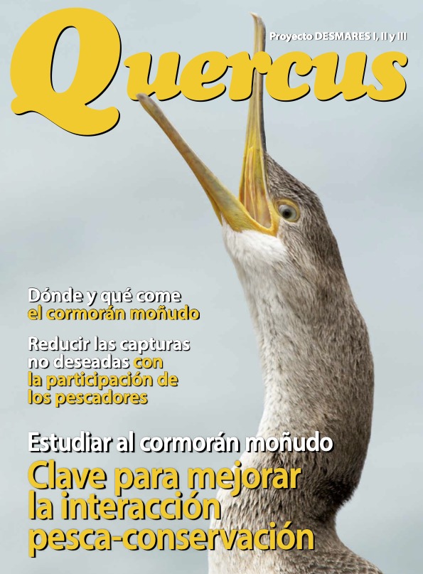 Click para ampliar Desmares