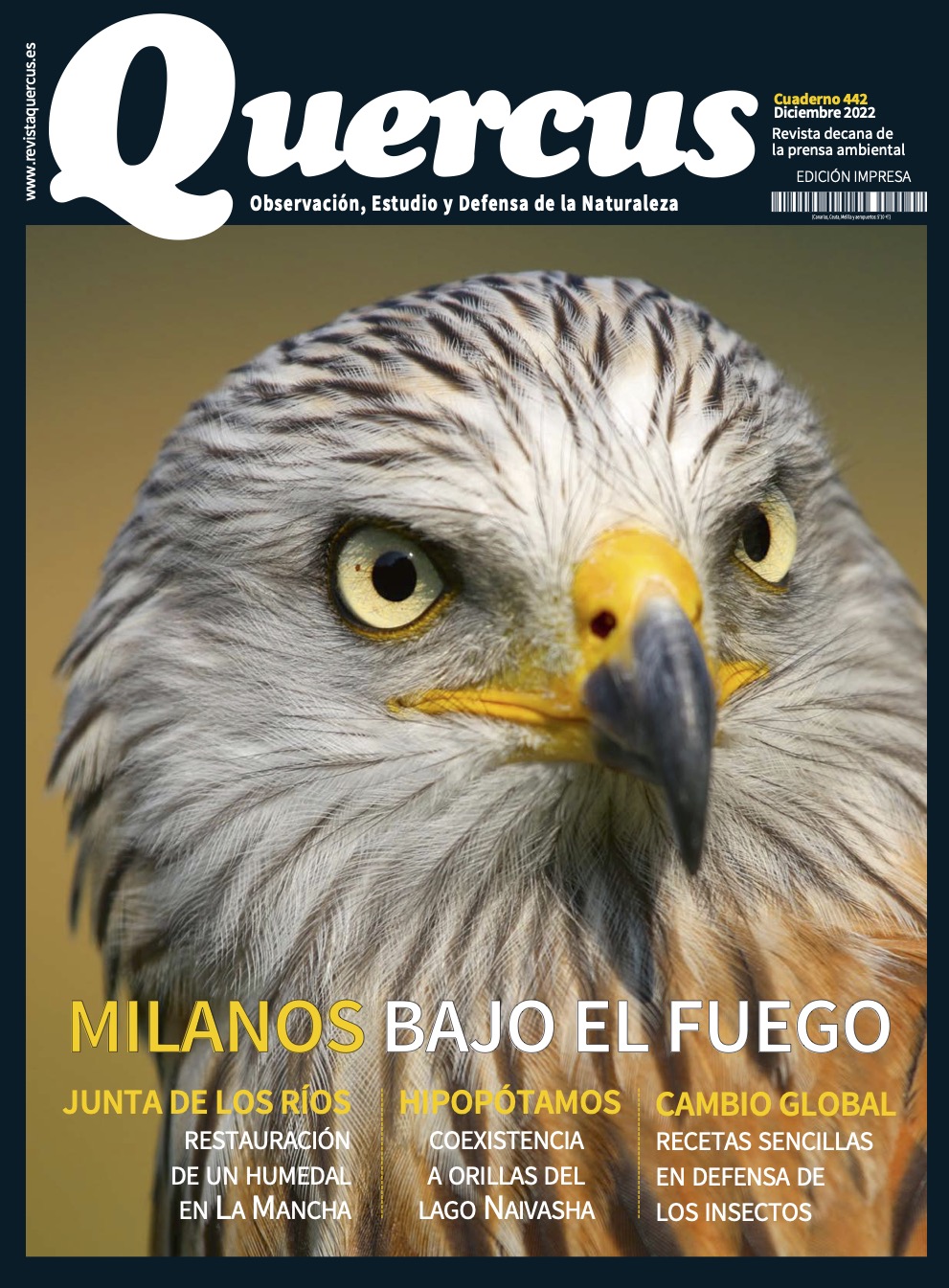 Click para ampliar Quercus 442